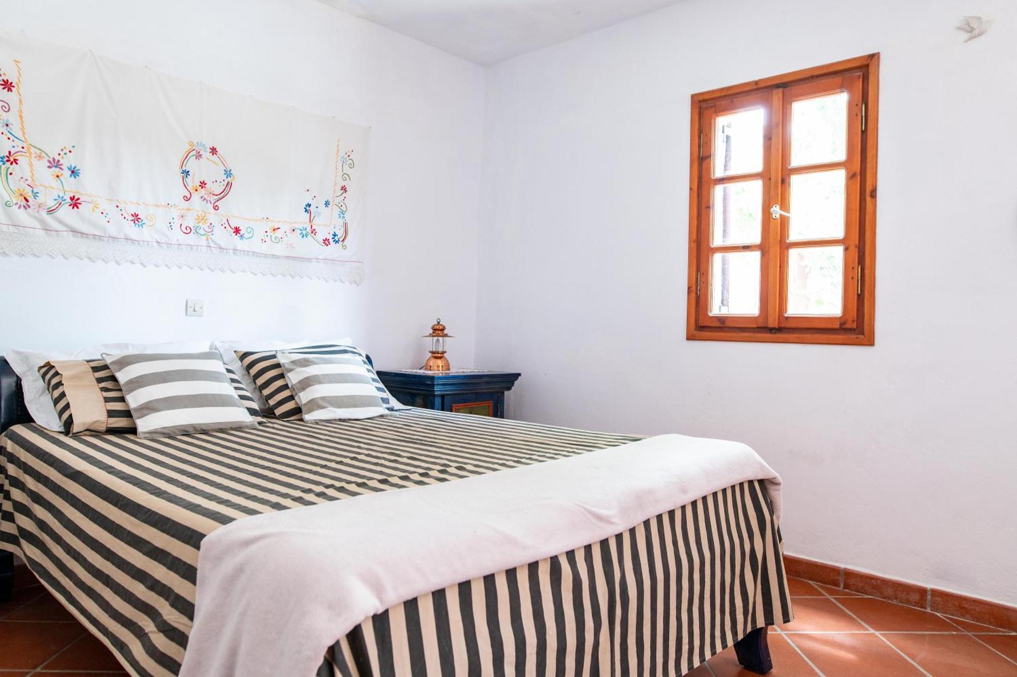 Ficus Traditional Apartments Kéfalos Zewnętrze zdjęcie